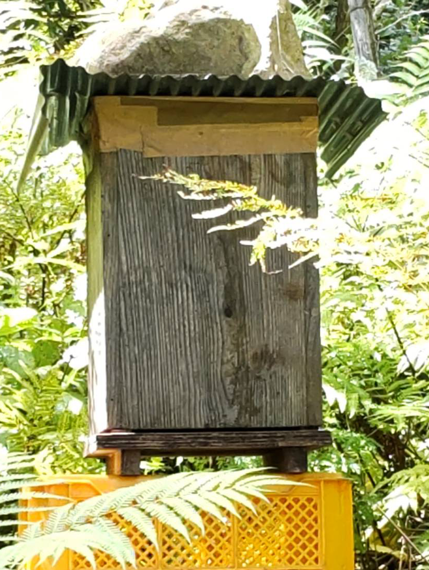 山蜂はちみつで使用している胴長型の巣箱